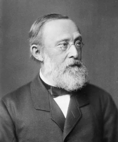 Section_3_Eik_8_Virchow_Wikipedia